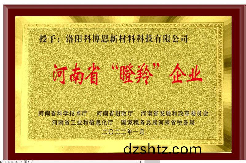 河南省“瞪(deng)羚”企業